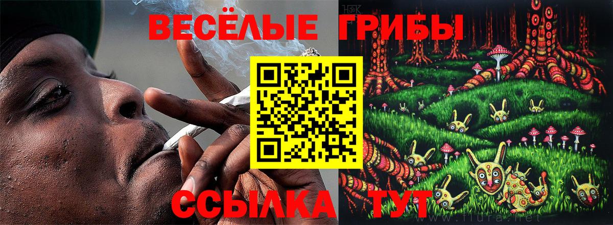 Галлюциногенные грибы ЛСД Нягань